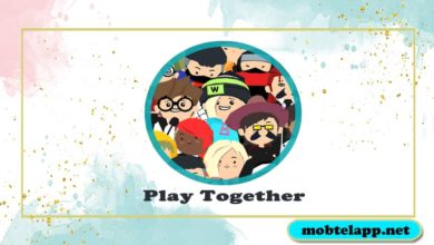 تحميل لعبة Play Together للاندرويد اخر اصدار مجانا