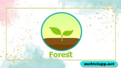 تحميل تطبيق Forest‏ فورست حافظ على تركيزك أخر أصدار للاندرويد