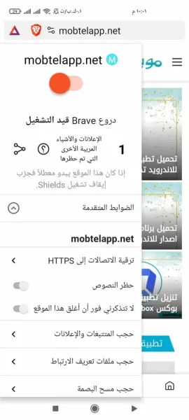 Brave Browser screenshot 4